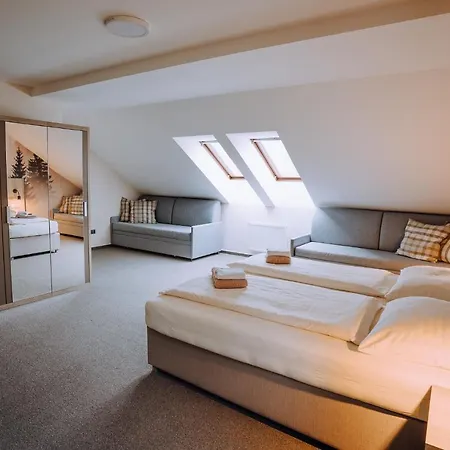 Pod Slamnikem Guest house Dolni Morava